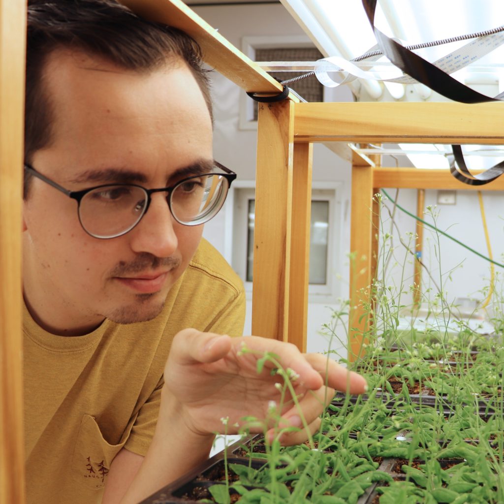 A closeup photo of Kyle Palos looking at some small, flowering Arabidopsis plants in a growth chamber.