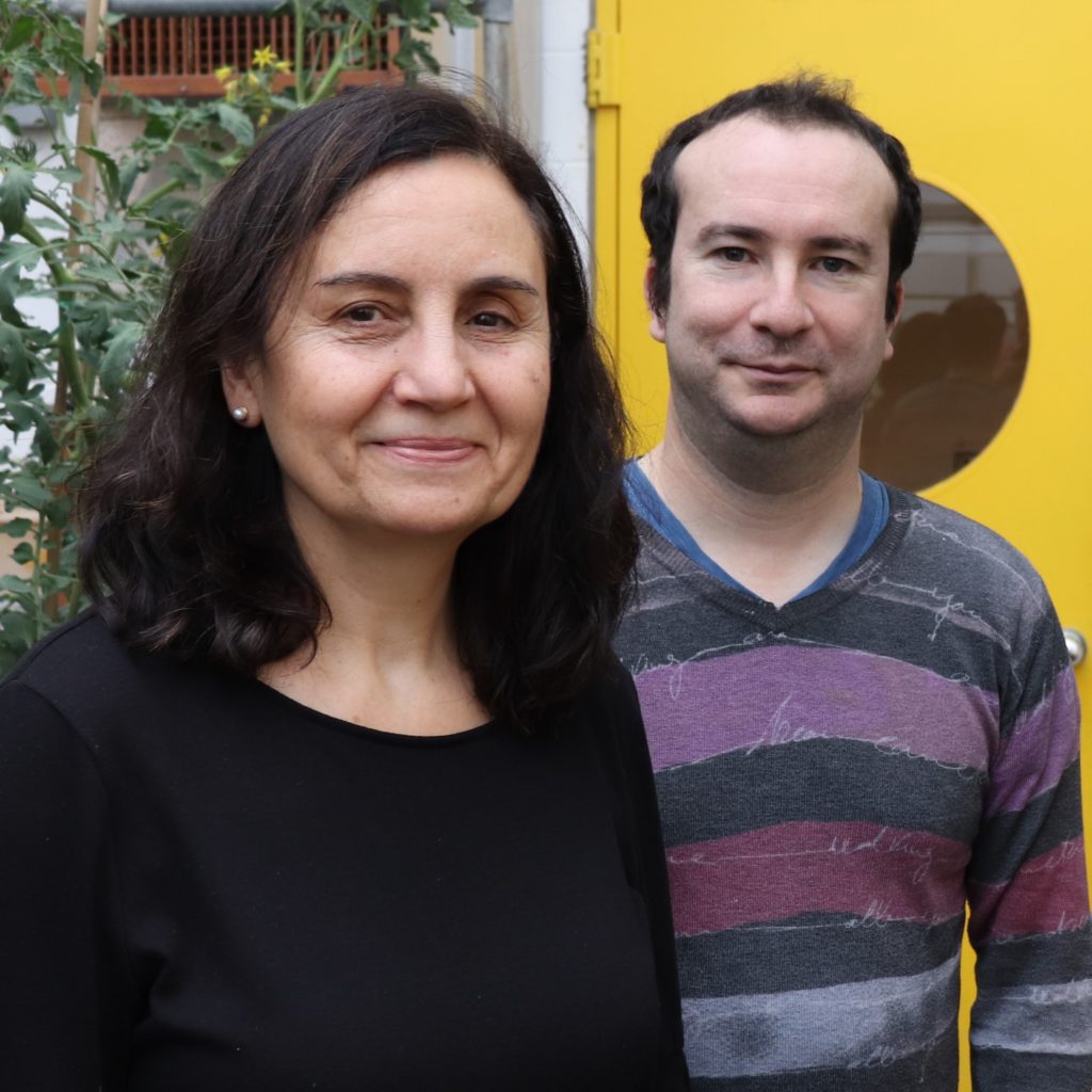 Carmen Catalá and Philippe Nicolas in a BTI greenhouse.
