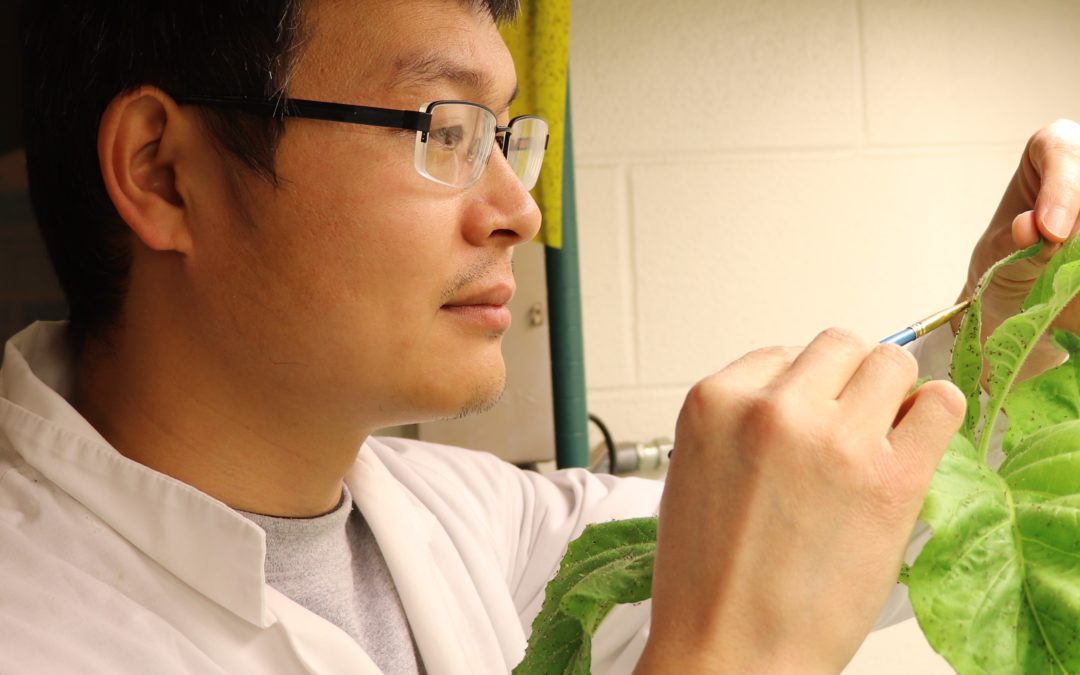 Controlling insect pests by targeting genes acquired from other species