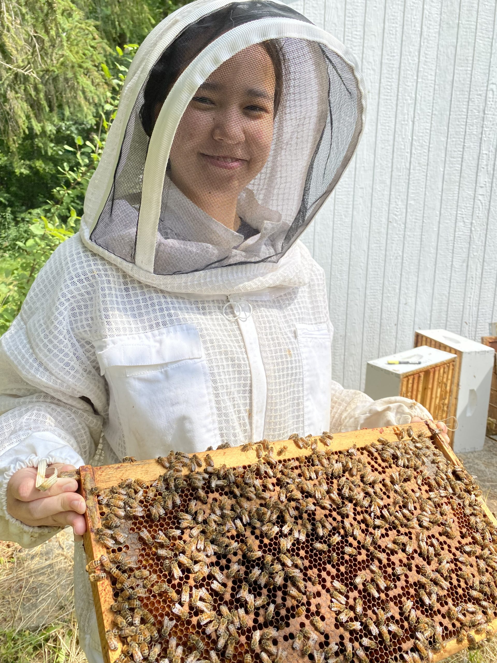Student in bee suit holding an frame from a beehive with live bees.