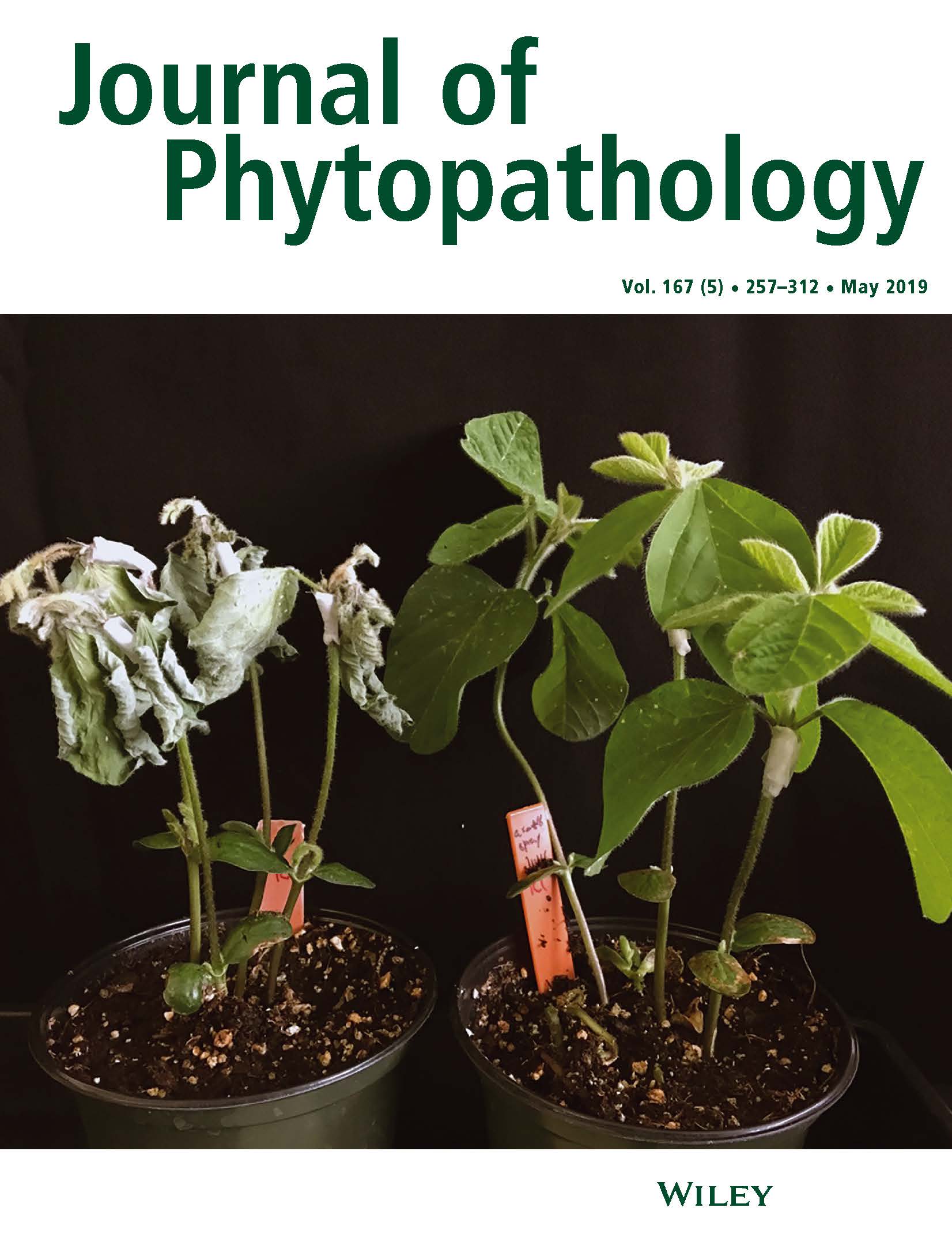 The cover of the May 2019 issue of Journal of Phytopathology shows that soybean plants treated with Ascribe’s lead product were healthier and had higher survival rates compared with untreated seeds when infected with Phytophthora sojae. Photo credit: Aardra Kachroo, University of Kentucky