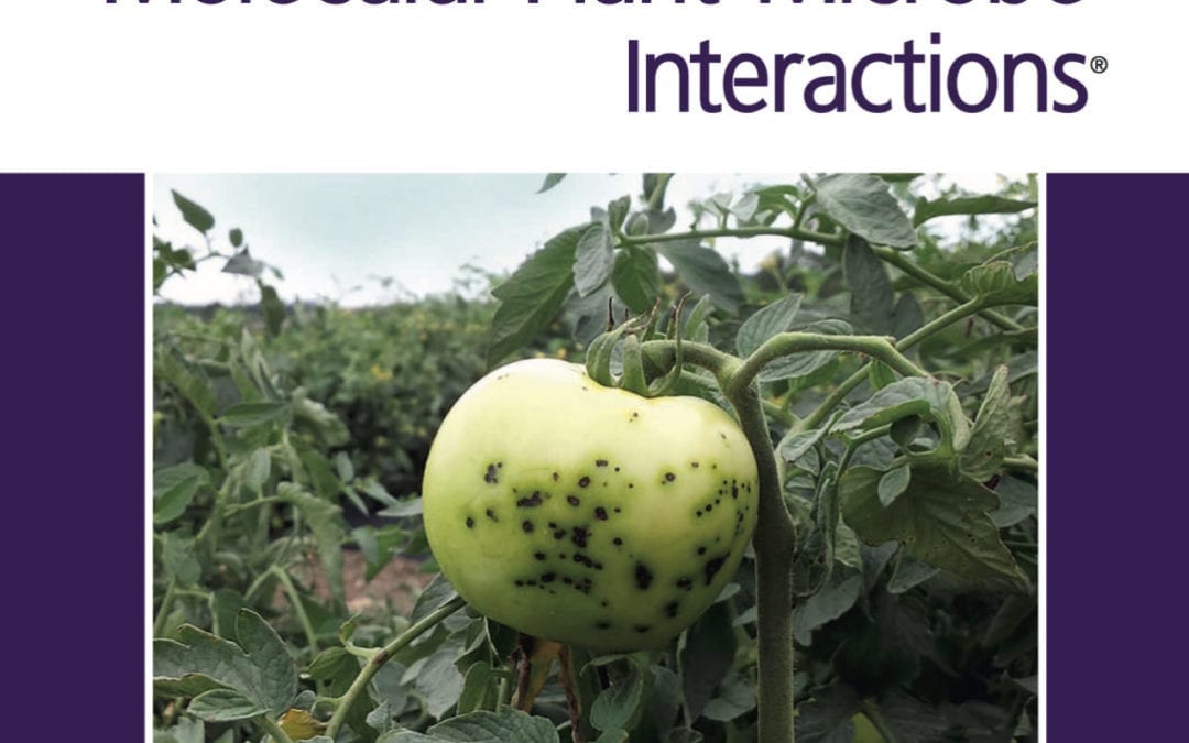 Hot tomatoes! MPMI Cover features BTI research