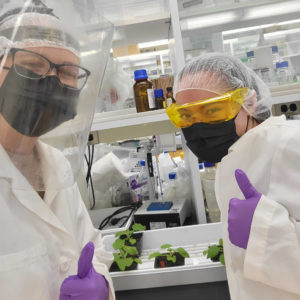 Two interns working in a lab