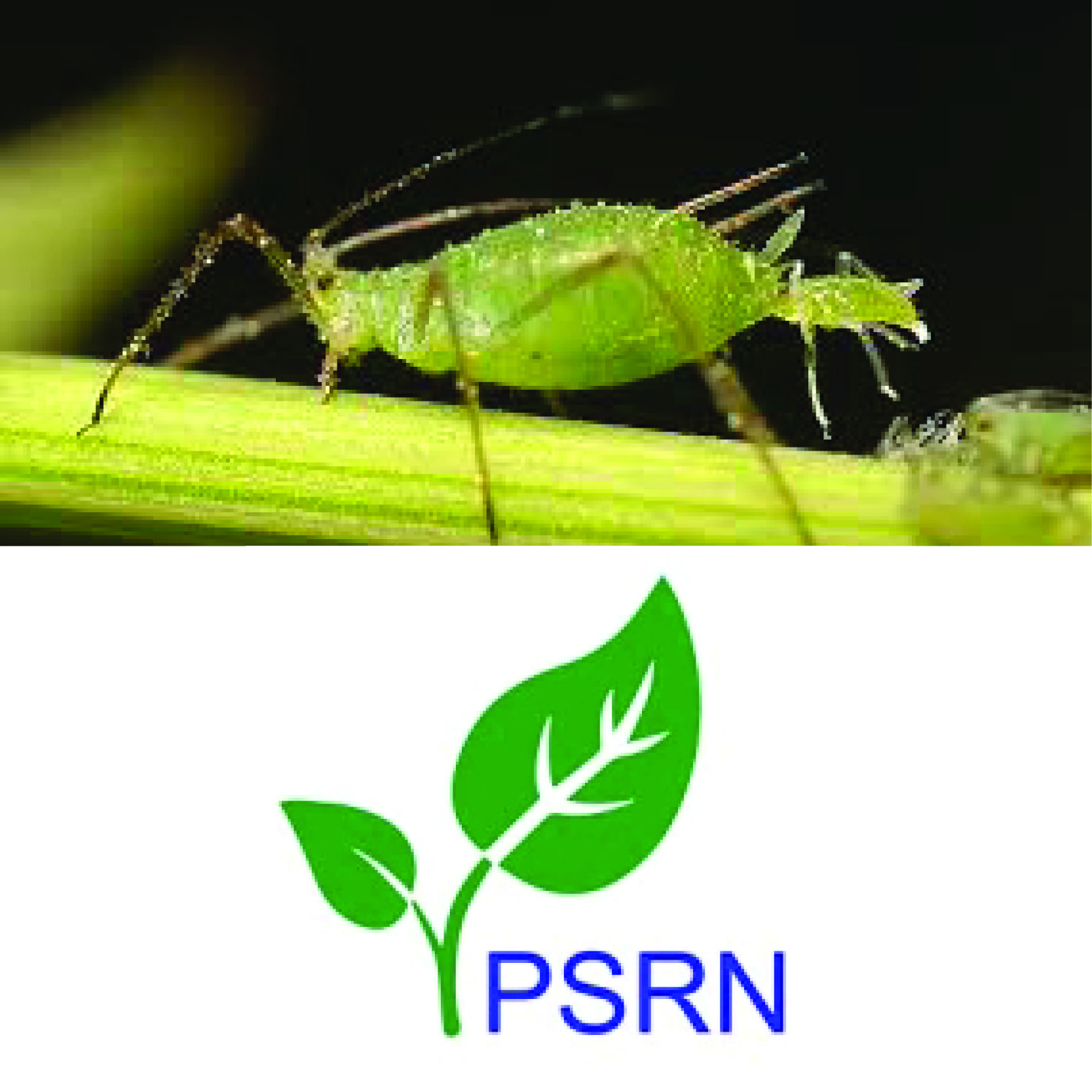 Aphid and PSRN Logo