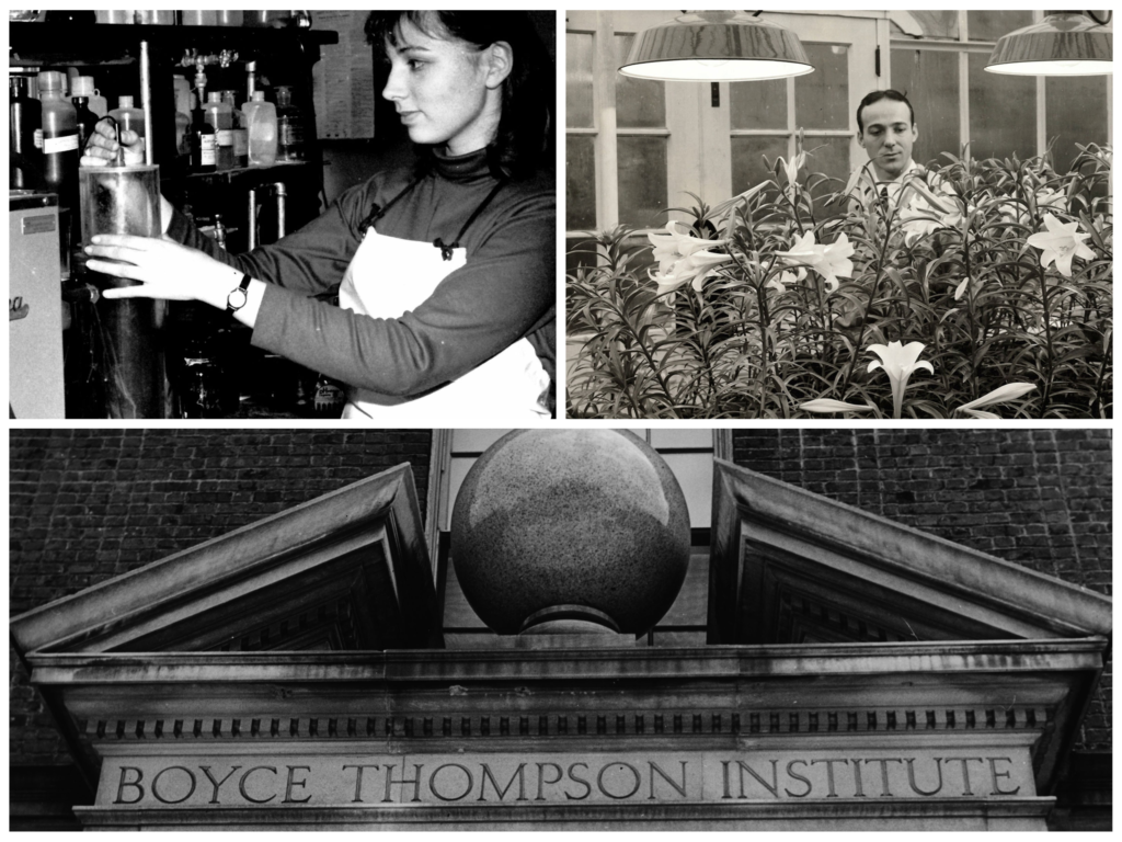 A collage of historical BTI Yonkers images, including a woman in a lab, a man in a greenhouse, and the outside of the building.