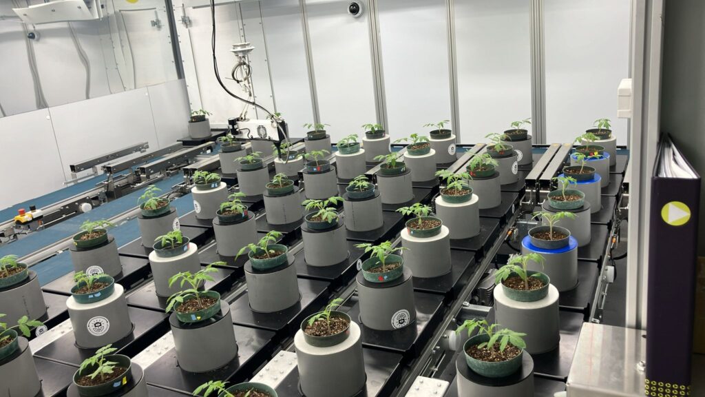 The Zymtronix LeafyLook Project inside BTI's PhenoSight facility.