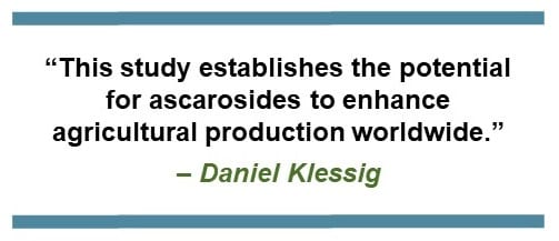 “This study establishes the potential for ascarosides to enhance agriculture production worldwide.” – Daniel Klessig
