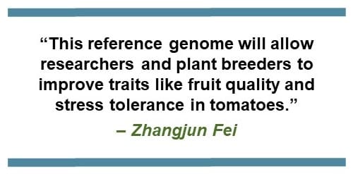 Text that says: “This reference genome will allow researchers and plant breeders to improve traits like fruit quality and stress tolerance in the tomato.” – Zhangjun Fei