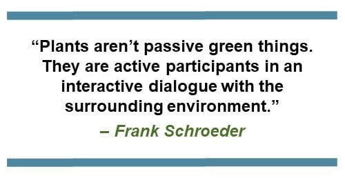  “Plants aren’t passive green things. They are active participants in an interactive dialogue with the surrounding environment.” – Frank Schroeder