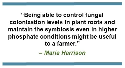 “Being able to control fungal colonization levels in plant roots and maintain the symbiosis even in higher phosphate conditions might be useful to a farmer.” – Maria Harrison