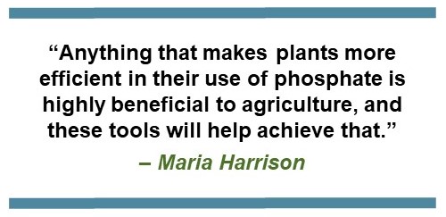 Text saying: “Anything that makes plants more efficient in their use of phosphate is highly beneficial to agriculture, and these tools will help achieve that.” – Maria Harrison