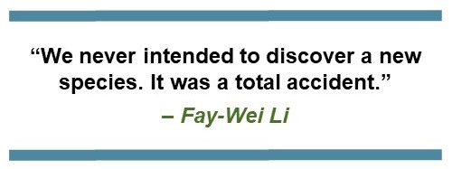 Text that says, “We never intended to discover a new species. It was a total accident.” – Fay-Wei Li