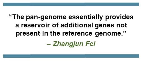 “The pan-genome essentially provides a reservoir of additional genes not present in the reference genome.” – Zhangjun Fei