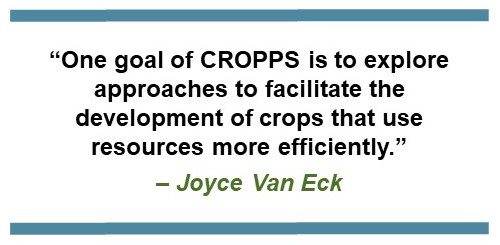 Text that says: “One goal of CROPPS is to explore approaches to facilitate the development of crops that use resources more efficiently.” – Joyce Van Eck
