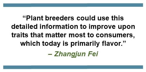 Text that says, “Plant breeders could use this detailed information to improve upon traits that matter most to consumers, which today is primarily flavor." - Zhangjun Fei
