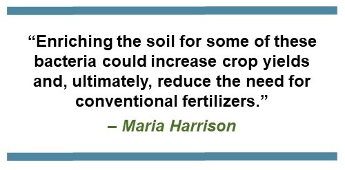 Text saying: “Enriching the soil for some of these bacteria could increase crop yields and, ultimately, reduce the need for conventional fertilizers.” – Maria Harrison