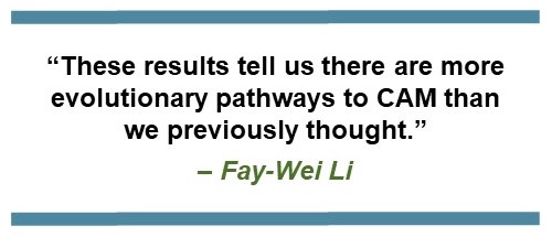 Text that says: “These results tell us there are more evolutionary pathways to CAM than we previously thought.” – Fay-Wei Li