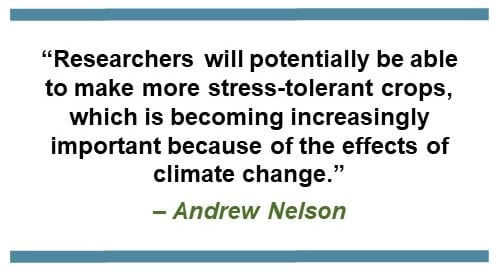 Text that says: “Researchers will potentially be able to make more stress-tolerant crops, which is becoming increasingly important because of the effects of climate change.” – Andrew Nelson
