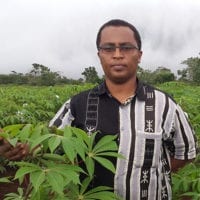 Global partnerships for improving cassava