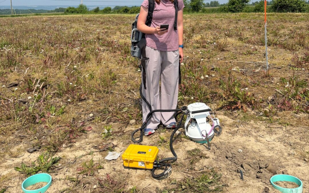 Lignin and Lessons Learned: A Summer of Growth in Plant Science