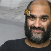 Professor Anurag Argrawal with a Monarch butterfly resting on his brow