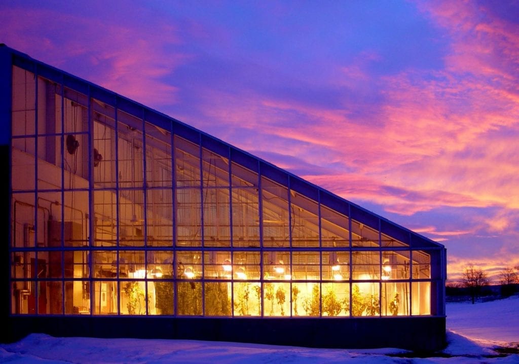 A side shot of the BTI greenhouse at sunset with the lights inside glowing