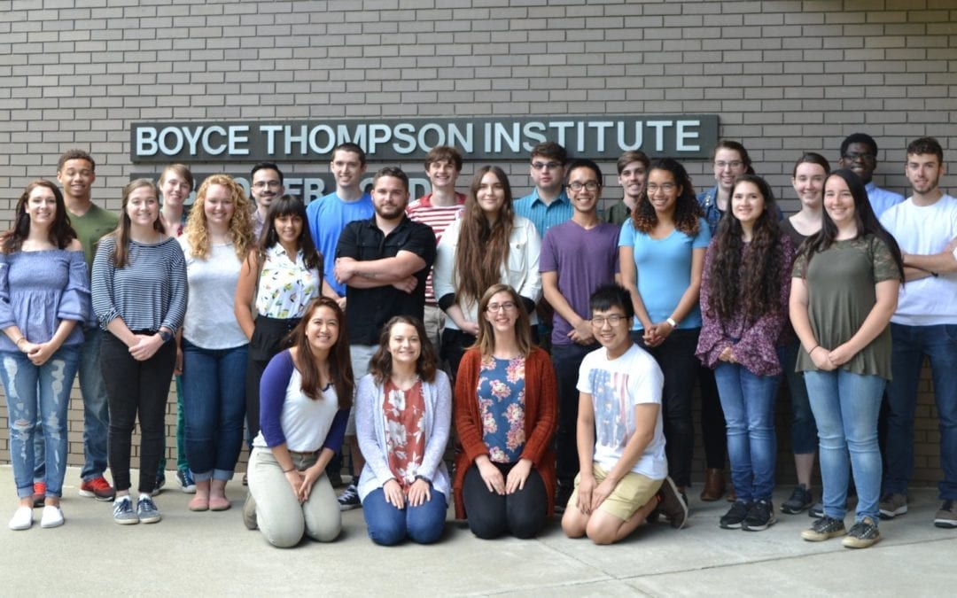 Student Research in Full Bloom: BTI’s 2018 PGRP Interns