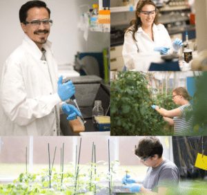 BTI Now Accepting 2019 Plant Genome Research Program Summer Internship Applications!
