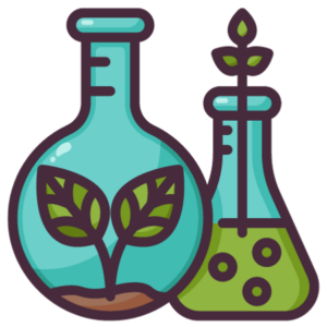 beakers with plants inside
