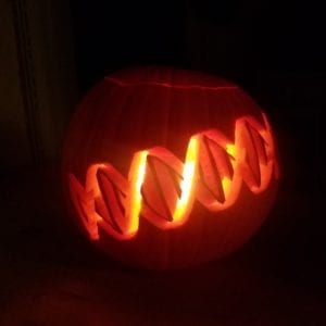 Pumpkin DNA carving