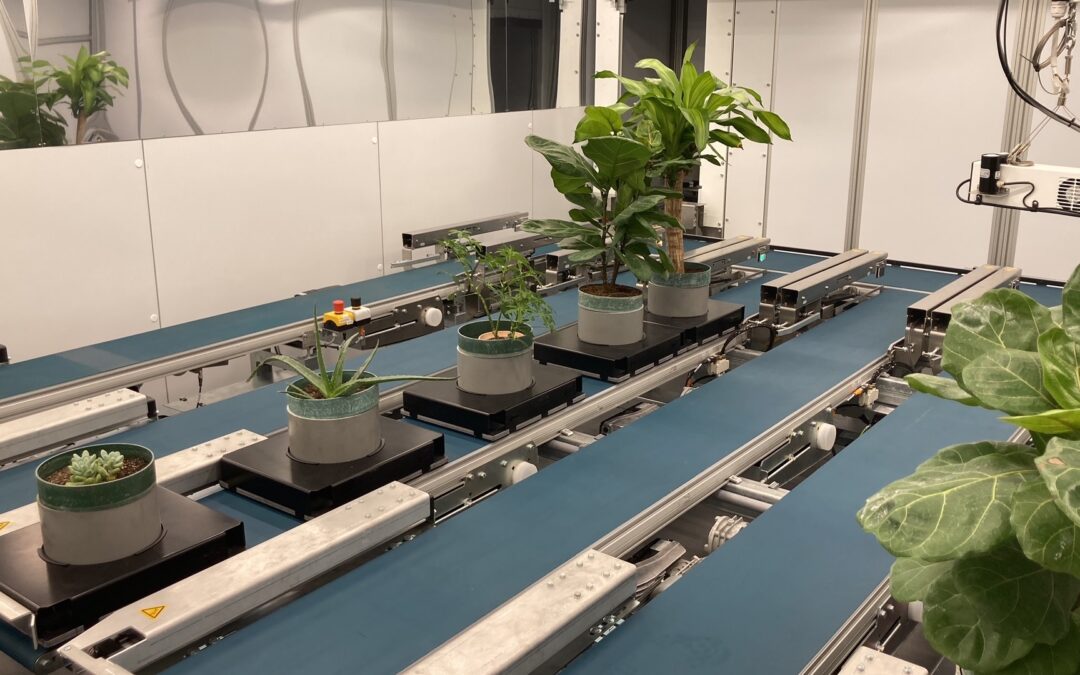 BTI Unveils State-of-the-Art Plant High-Throughput Phenotyping Facility