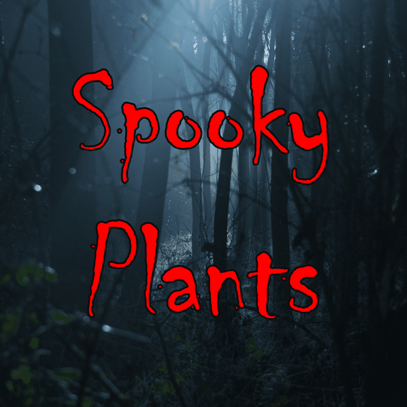 A dark forest with the text Spooky Plants